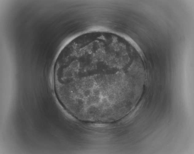 X0000111831295200908061148