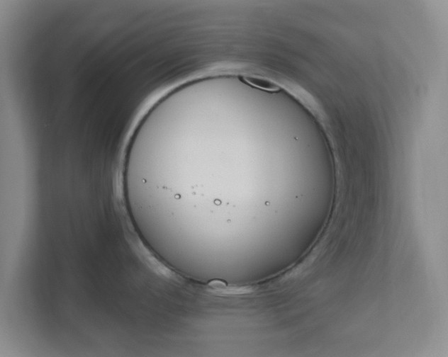 X0000111831296200908061148