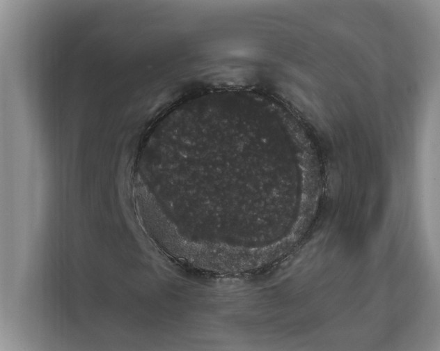 X0000111831297200908061147