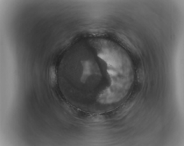 X0000111831298200908061147