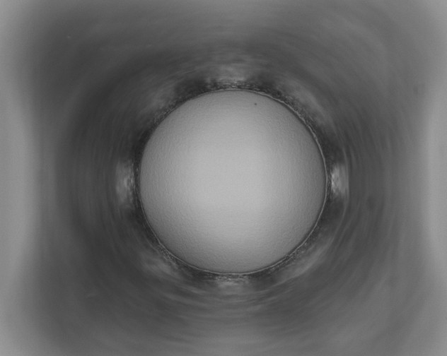 X0000111831299200908061147