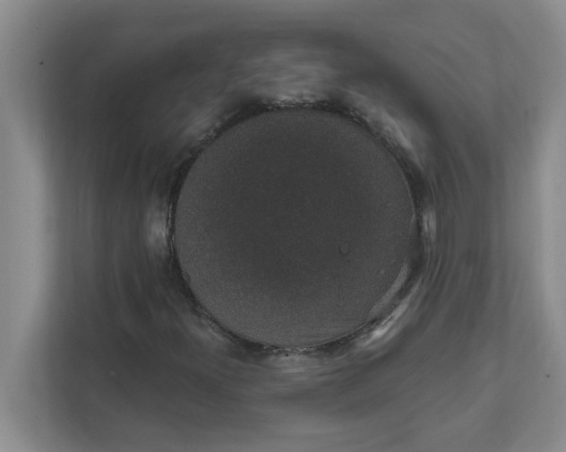 X0000111831300200908061147