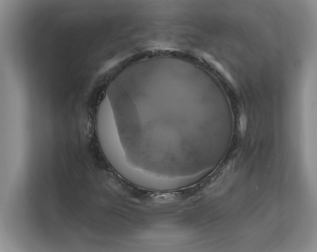 X0000111831303200908061147