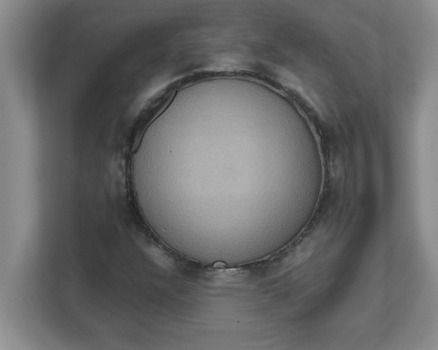 X0000111831304200908061147