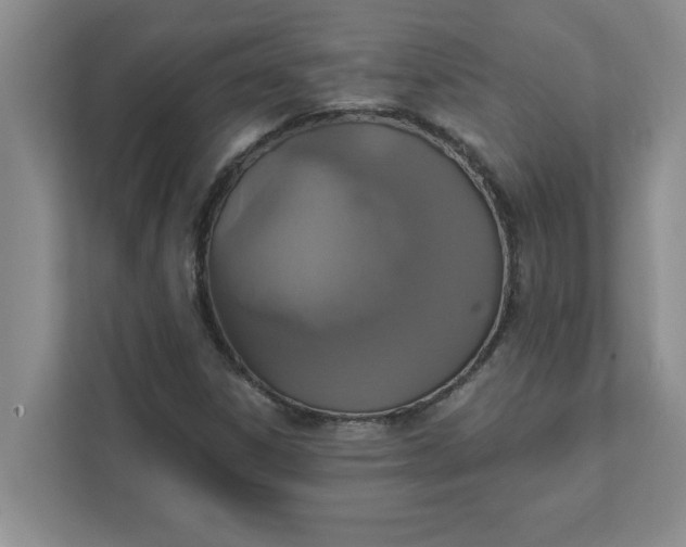 X0000111831306200908061147