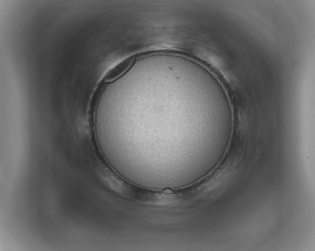 X0000111831308200908061147