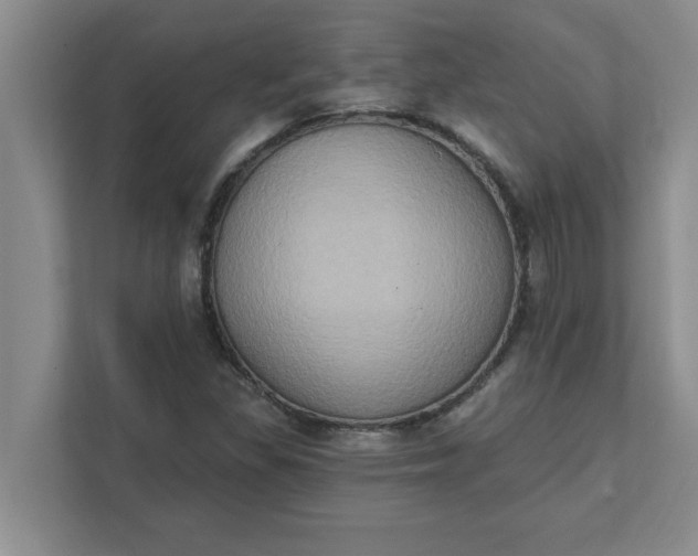 X0000111831309200908061147