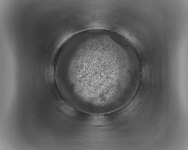 X0000111831310200908061147