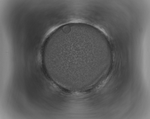X0000111831311200908061147