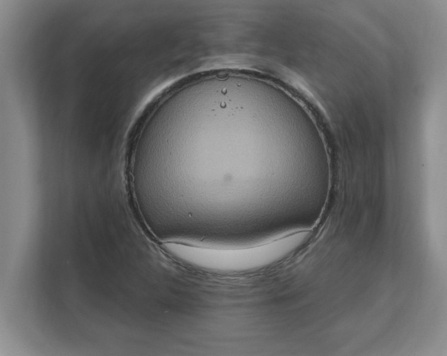 X0000111831312200908061147