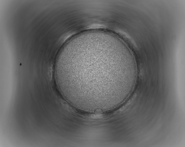 X0000111831313200908061147