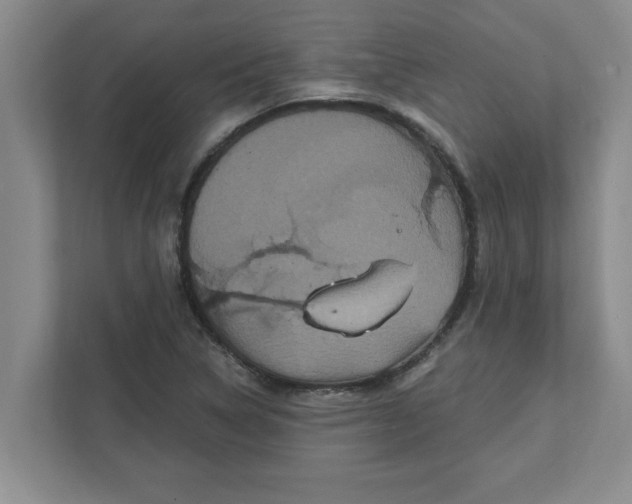 X0000111831314200908061147