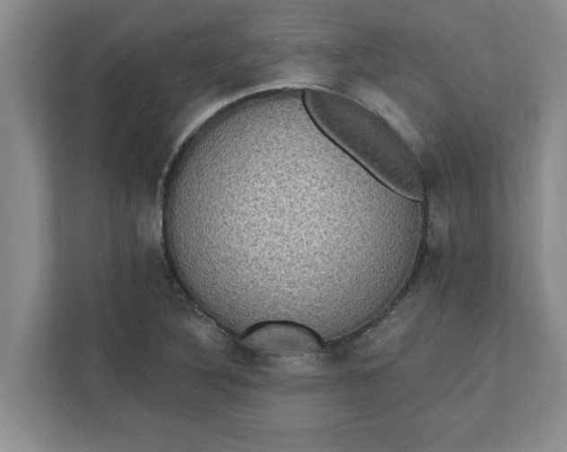 X0000111831316200908061147