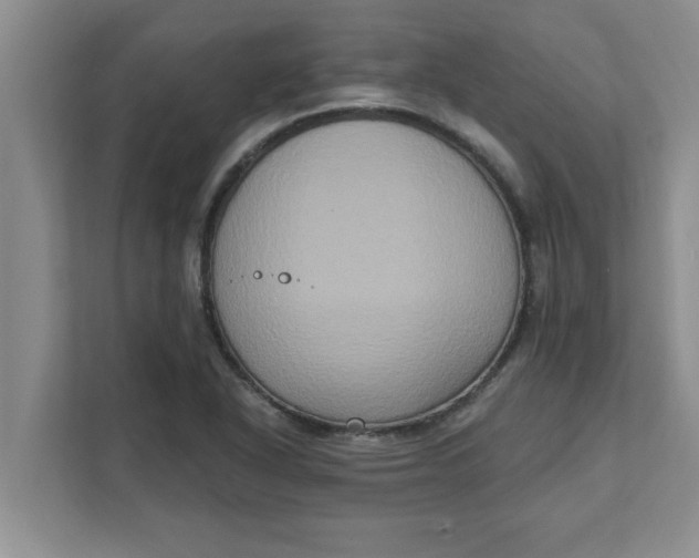 X0000111831318200908061147