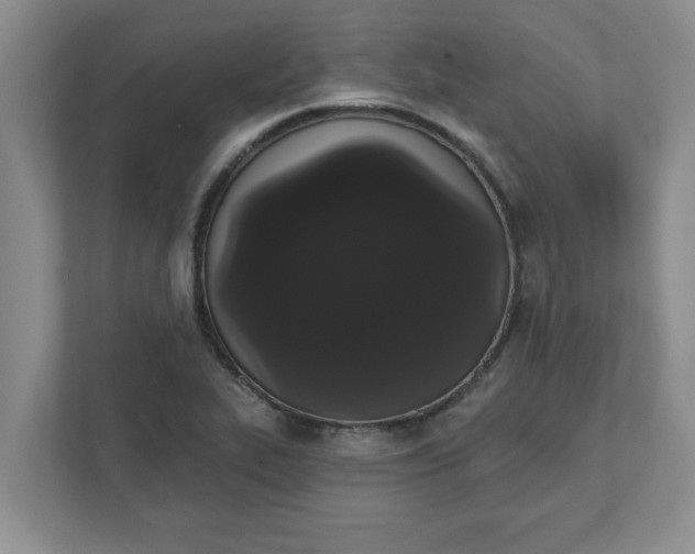 X0000111831319200908061147
