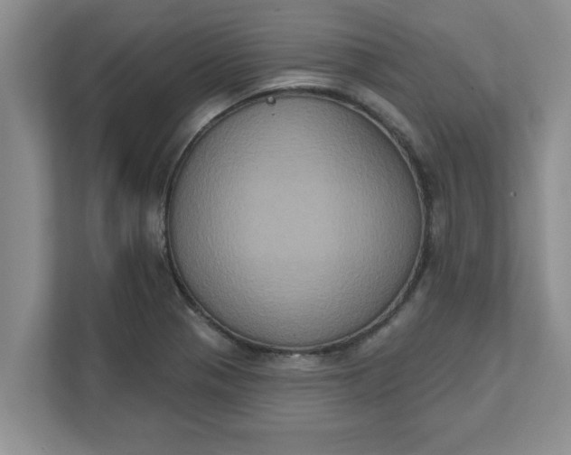 X0000111831321200908061147