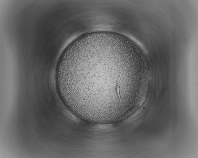 X0000111831325200908061147