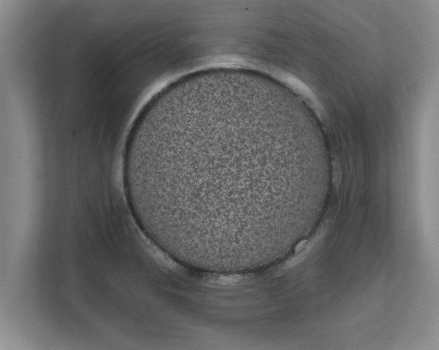 X0000111831326200908061148