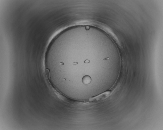 X0000111831328200908061148