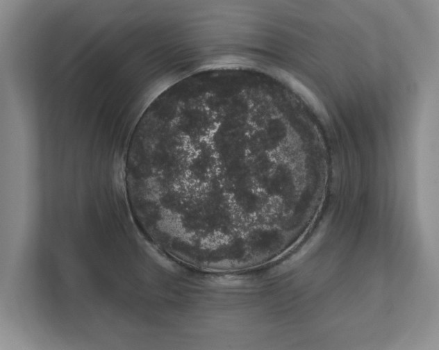 X0000111831329200908061148