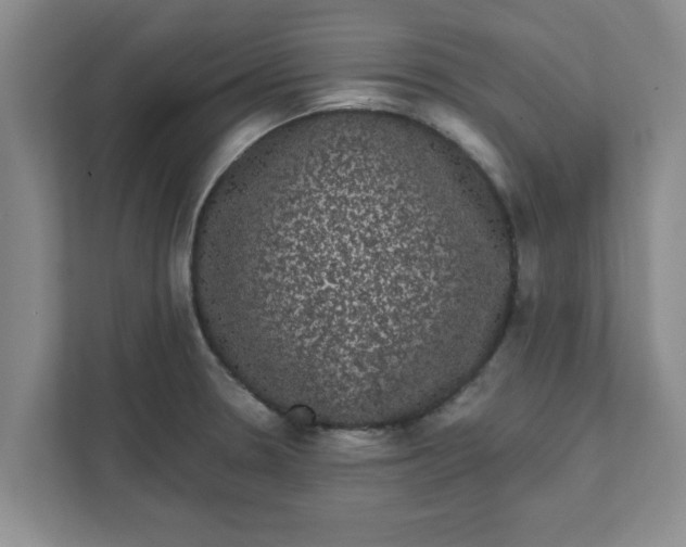 X0000111831330200908061148
