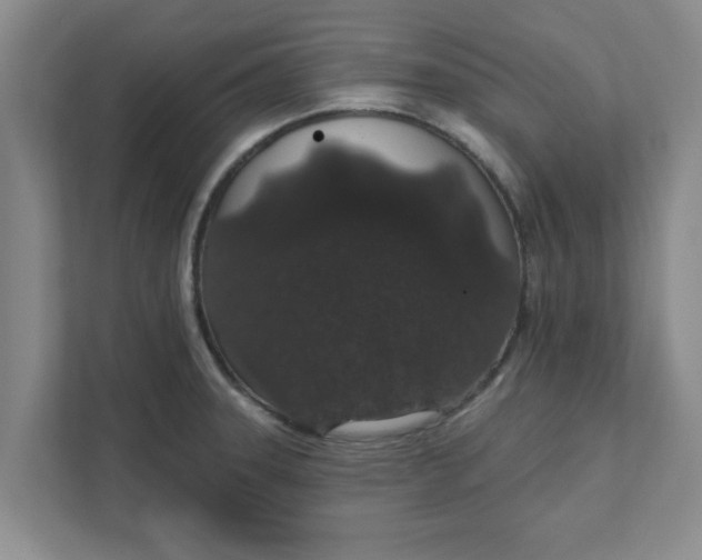 X0000111831331200908061148