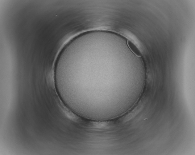 X0000111831332200908061148