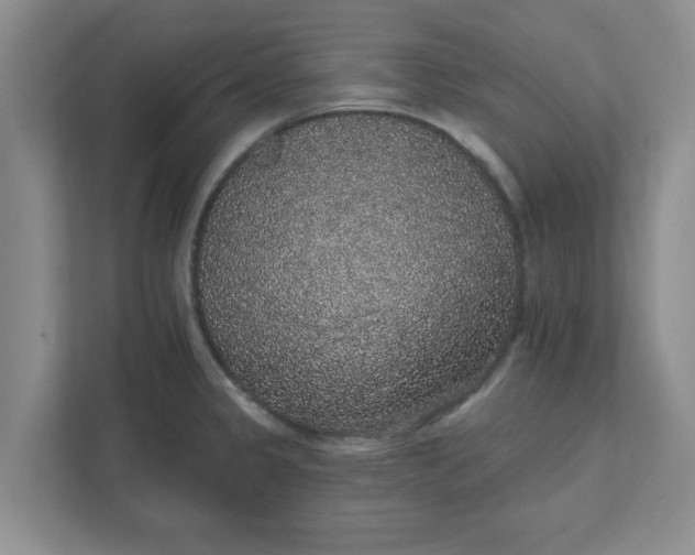 X0000111831333200908061148