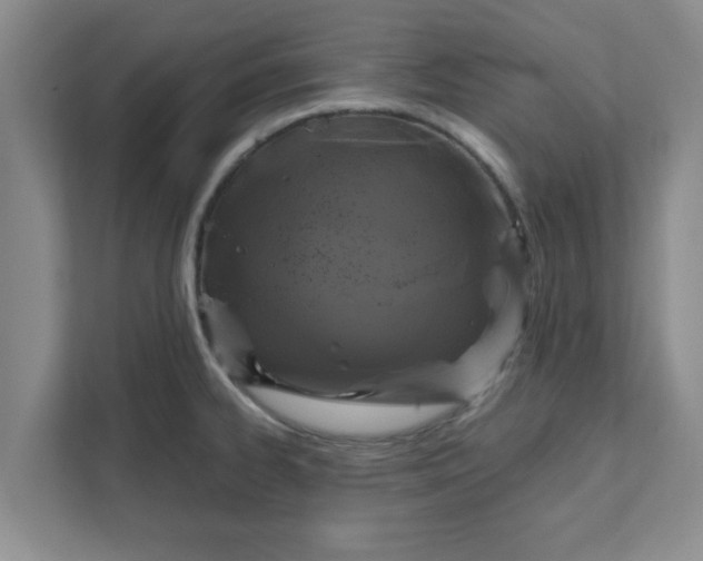 X0000111831334200908061148