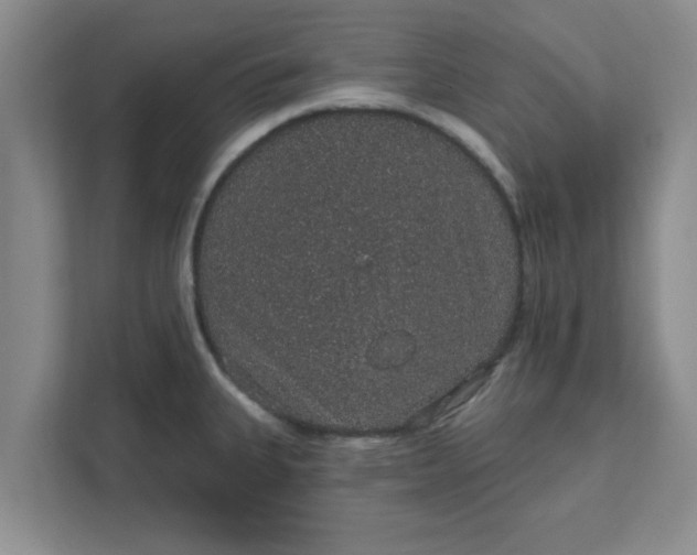 X0000111831335200908061148