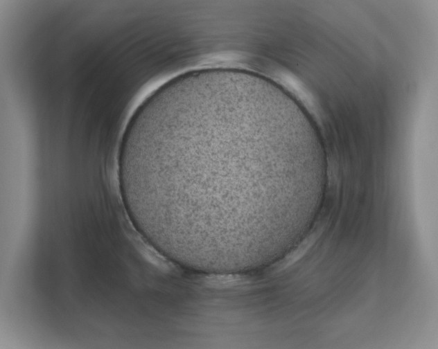 X0000111831336200908061148