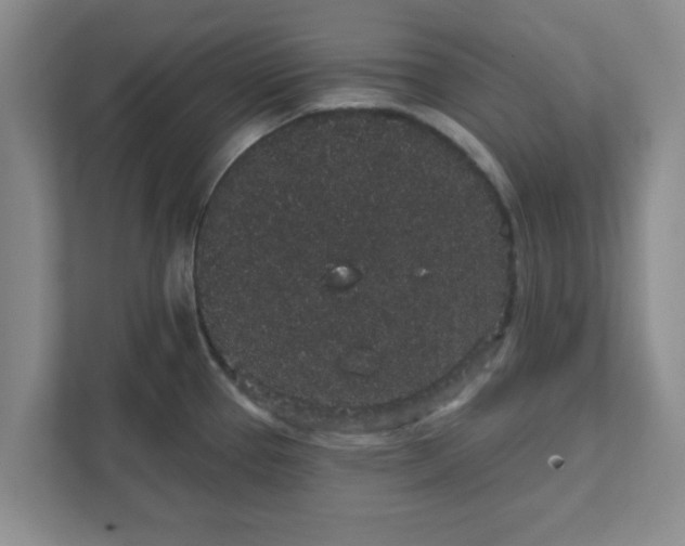 X0000111831337200908061148