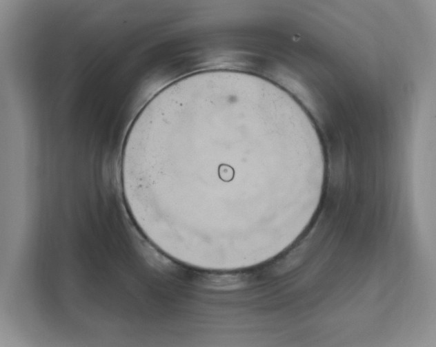 X0000111831338200908061148