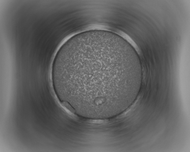 X0000111831339200908061148