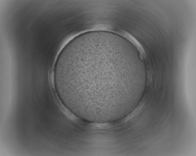 X0000111831340200908061148