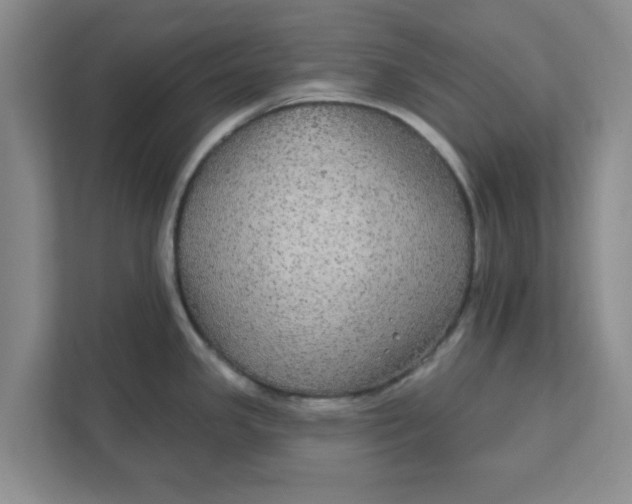 X0000111831341200908061148