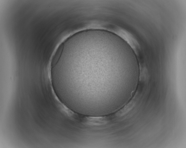 X0000111831342200908061148