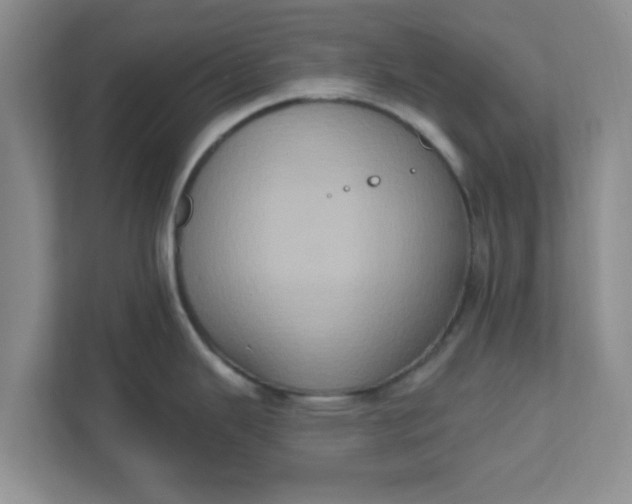 X0000111831343200908061148