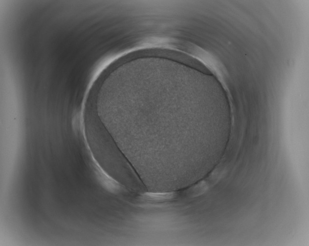X0000111831344200908061148