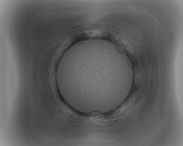 X0000111831345200908061147