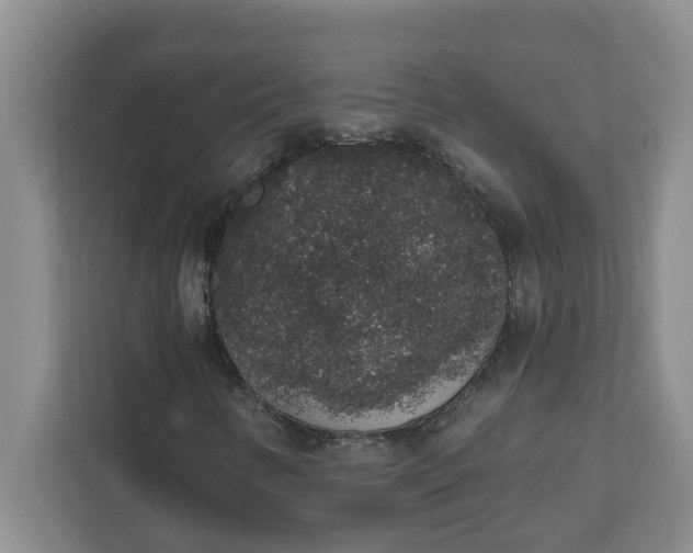 X0000111831346200908061147