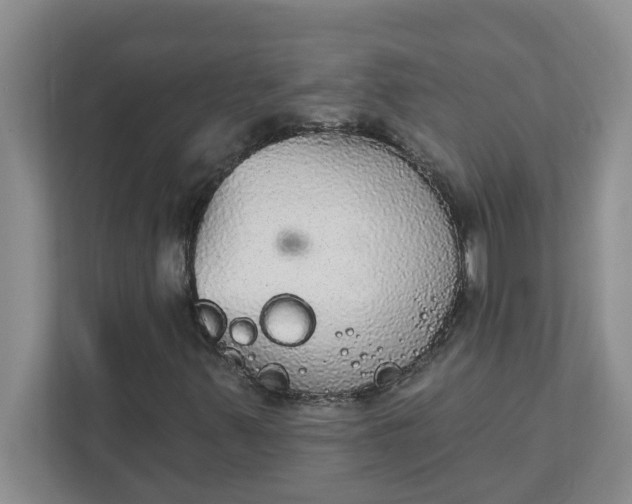 X0000111831347200908061147