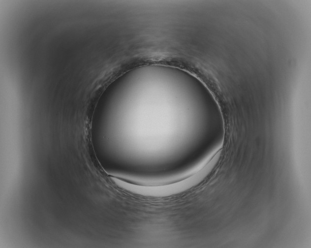 X0000111831349200908061147