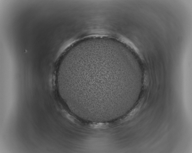 X0000111831352200908061147