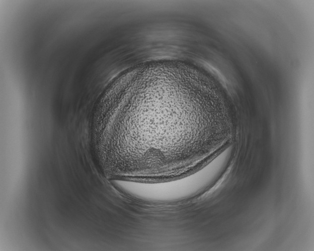 X0000111831353200908061147
