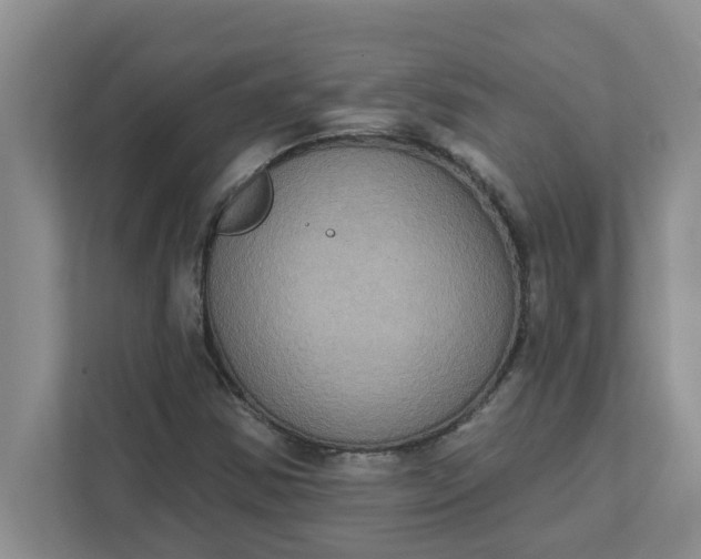 X0000111831354200908061147