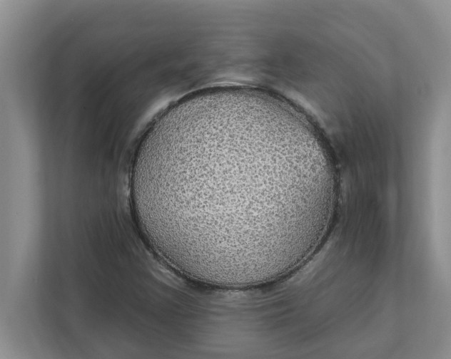 X0000111831355200908061147