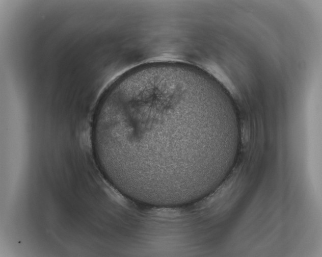 X0000111831356200908061147