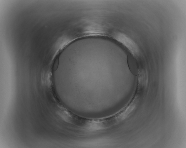 X0000111831357200908061147