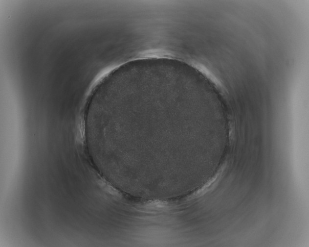 X0000111831358200908061147